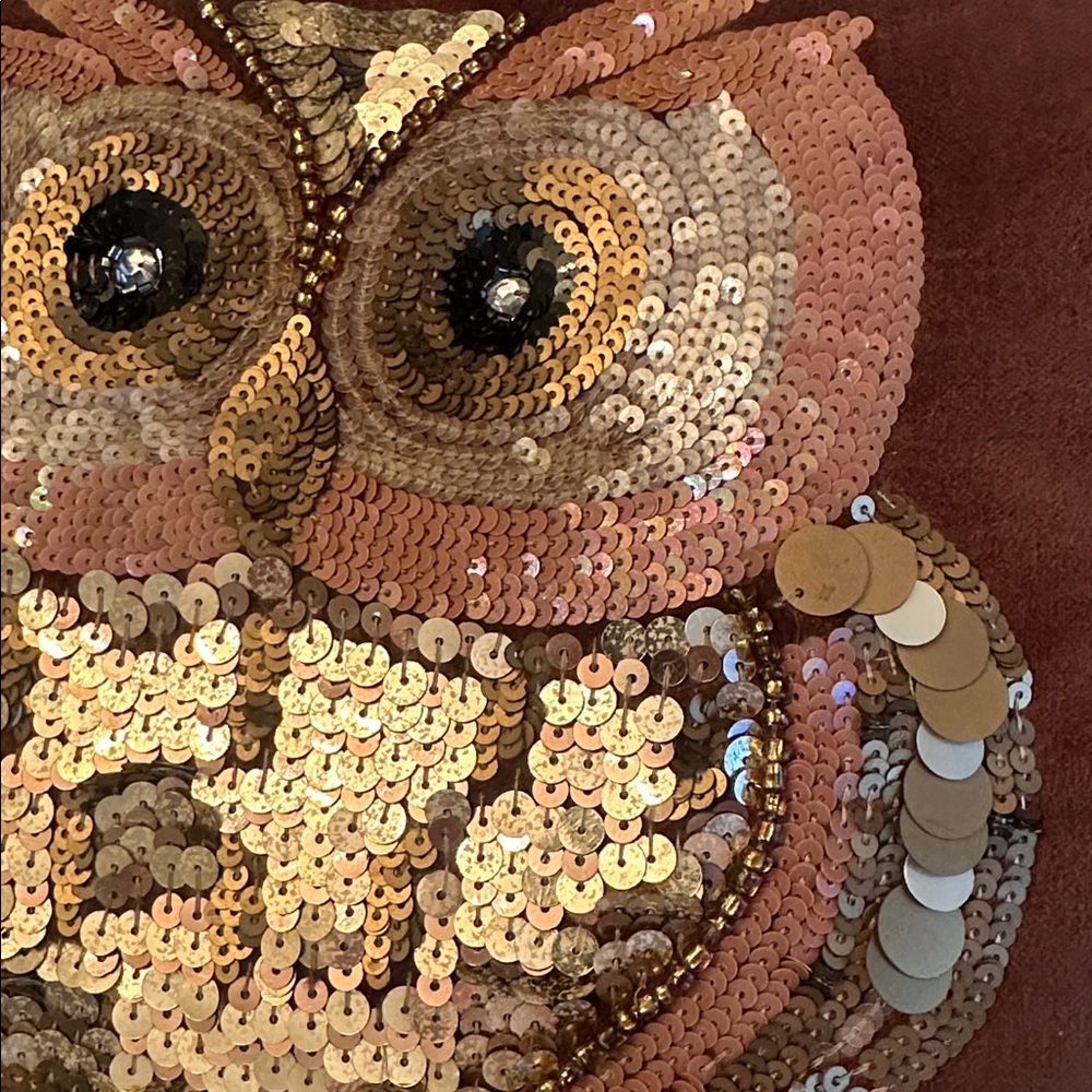 Pier 1 Imports Beaded Sequin Owl Brown Velvet Pillow 14" Square Fall Decor - Picture 12 of 13